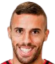 tomer levi