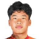 Pi Ziyang