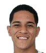 Gustavo Apis Pascoal De Farias