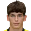 Francesco Antonini