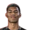 Davi Medeiros Serrano Lira