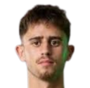 Tomer lannes