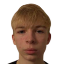 Sander Liir