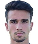 hamza redzic