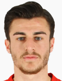 N. Çelik