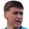 Tarik Tikvesa