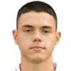 Aleksa Mitic