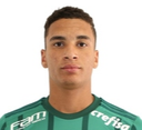 Henri Marinho dos Santos