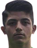 Şahin. Dik