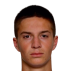 sipovac danilo