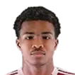 Nasser Adil Babiker