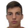 nemanja carevic