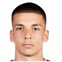 L Radojevic