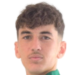 Henry Bates Andreou
