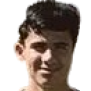 vicente alvarez