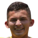 Selvil teni