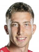 Dominik Meisel