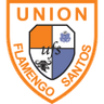 Flamengo Santos
