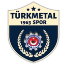 Türk Metal 1963