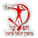 Hapoel Daliyat al-Karmel