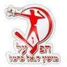 Hapoel Daliyat al-Karmel