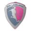 ŽNK Ljubljana Feminino
