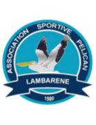 Pelican Lambaréné