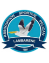 Pelican Lambaréné