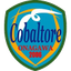Cobaltore Onagawa
