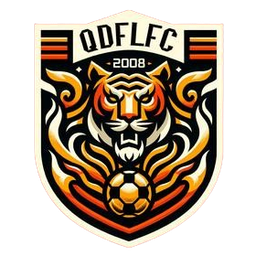 Qingdao Fuli