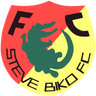 Steve Biko FC
