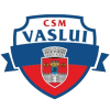 CSSM Vaslui