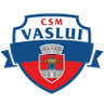 CSSM Vaslui