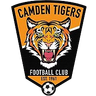 Camden Tigers Sub-20