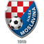 NK Moslavina Kutina