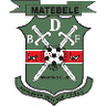 BDF XI