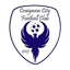 Craigavon City (F)