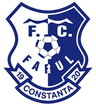 Farul Constanța Femenino