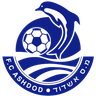 Ashdod MS Sub-19
