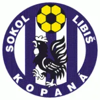 Sokol Libis