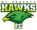 Mount Gravatt Hawks