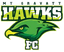 Mount Gravatt Hawks