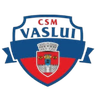 CSM Vaslui