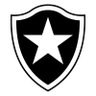 Botafogo RJ Juvenil
