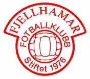 Fjellhamar