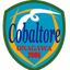 Cobar Torre Onagawa