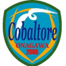 Cobar Torre Onagawa