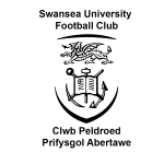 Universidade de Swansea