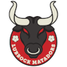 Lubbock Matadors SC