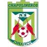 Chapulineros de Oaxaca II
